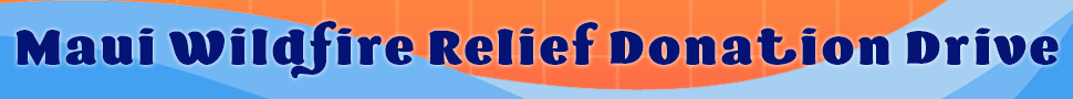 Banner Ad